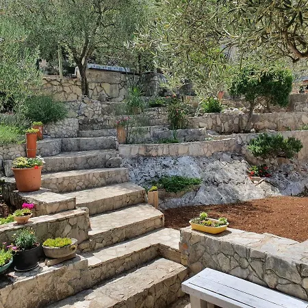 Ankica Dekovici Bb *