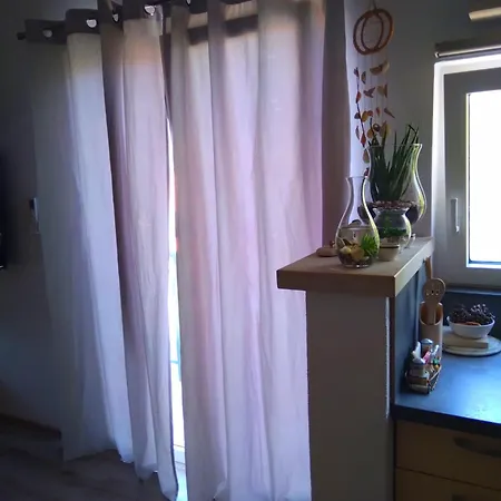 Ankica Dekovici Bb *