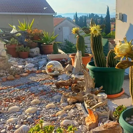 Ankica Dekovici Bb Trpanj