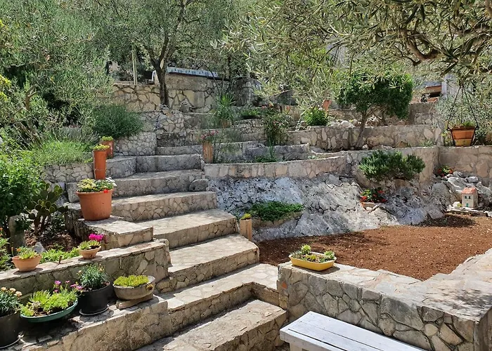 Ankica Dekovici Bb *