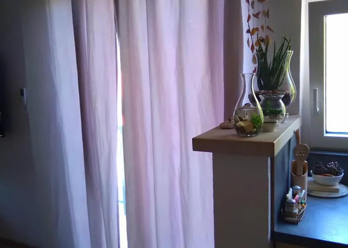 Ankica Dekovici Bb *