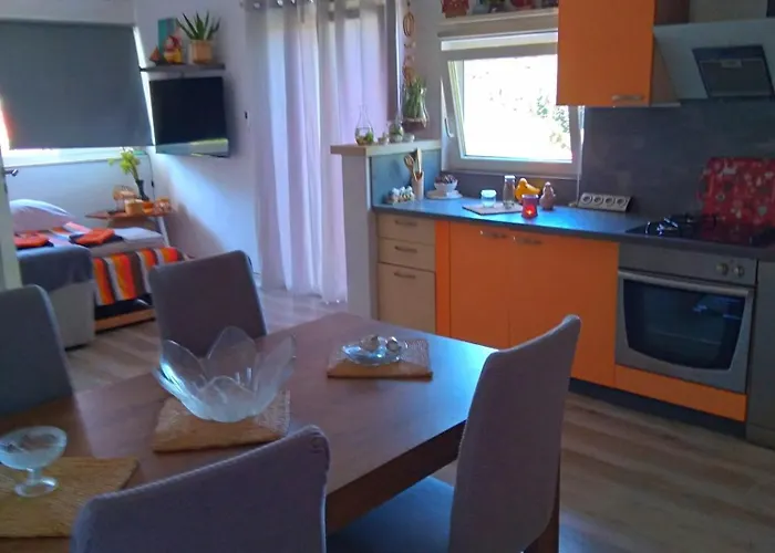 Ankica Dekovici Bb *