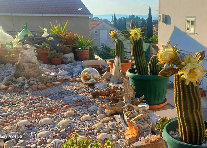 Ankica Dekovici Bb Trpanj